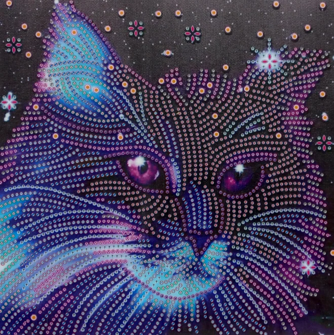 NORIMPEX Diamantové malování 7D Hvězdné kotě 30x30cm