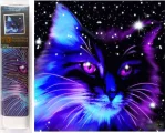 NORIMPEX Diamantové malování 7D Hvězdné kotě 30x30cm
