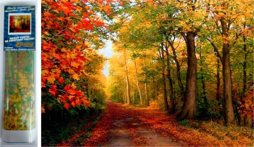 diamantove-malovani-podzim-v-lese-30x40cm-203591.jpg
