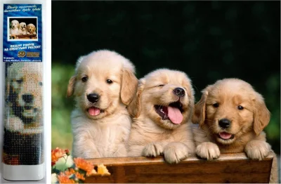 Diamantové malování Roztomilé trio 40x30cm