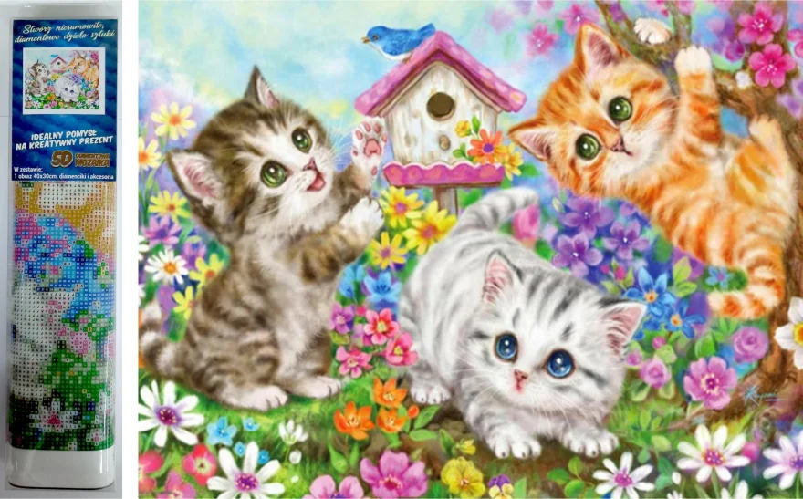 NORIMPEX Diamantové malování Kočičí parta 40x30cm
