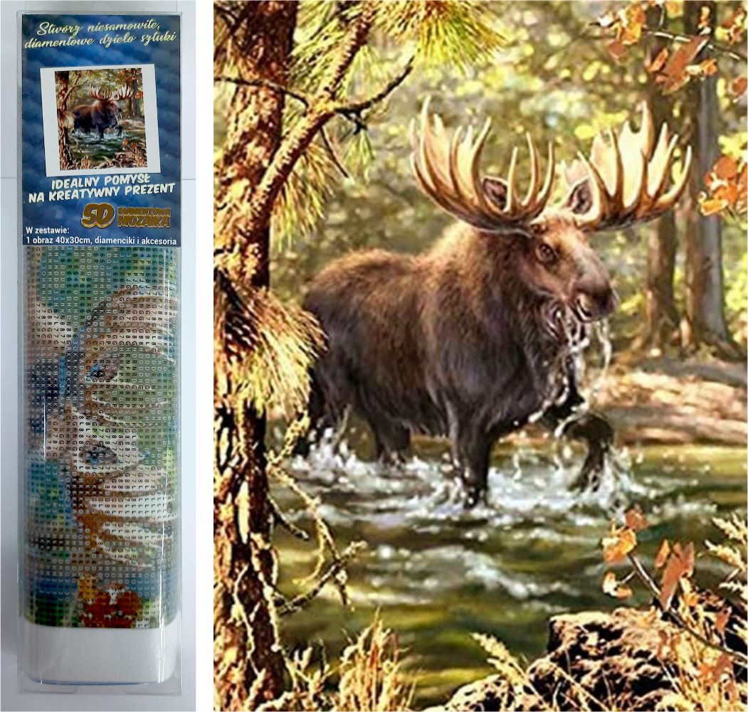 NORIMPEX Diamantové malování Los v řece 40x30cm