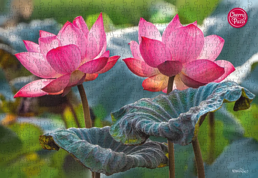 Cherry Pazzi Puzzle Růžové květy lotosu 500 dílků