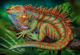 CHERRY PAZZI Puzzle Neuvěřitelný leguán 500 dílků