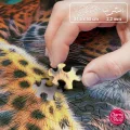 CHERRY PAZZI Puzzle Odpočívající leopard 500 dílků