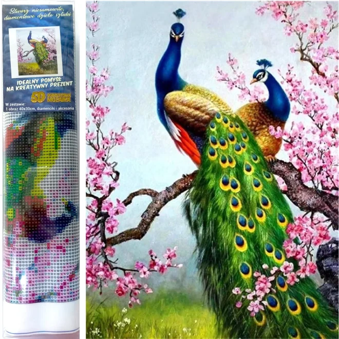 NORIMPEX Diamantové malování Pávi 40x30cm