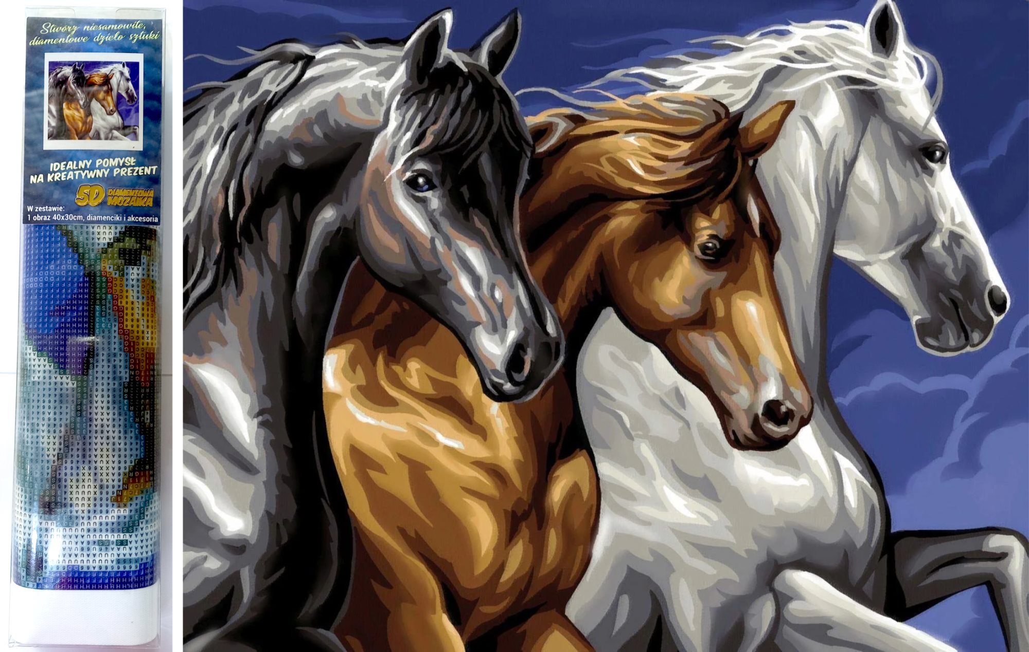 NORIMPEX Diamantové malování Divoké trio 40x30cm