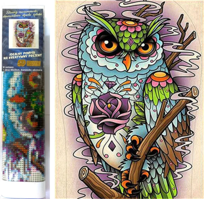 NORIMPEX Diamantové malování Moudrá sova 40x30cm