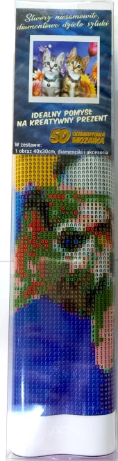 NORIMPEX Diamantové malování Dvě koťata 40x30cm
