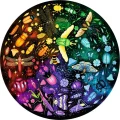 Ravensburger Kulaté puzzle Kruh barev: Svět hmyzu 500 dílků