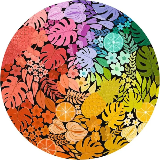 Ravensburger Kulaté puzzle Kruh barev: Tropical 500 dílků