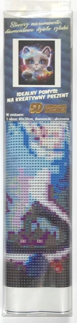 NORIMPEX Diamantové malování Vesmírné kotě 40x30cm