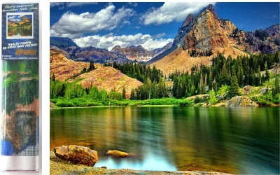 Diamantové malování Divoká příroda 40x30cm