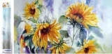 NORIMPEX Diamantové malování Slunečnice 80x40cm