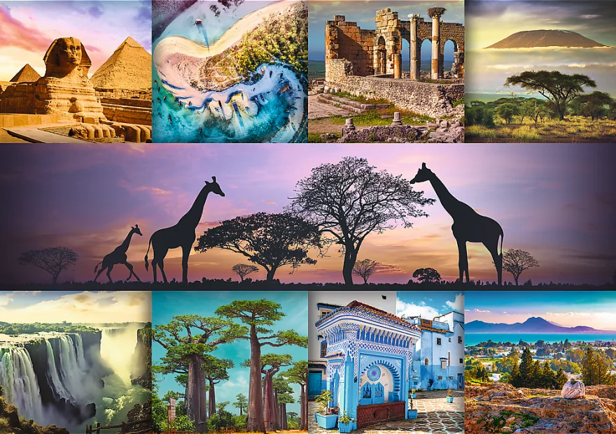 TREFL Puzzle Koláž, Afrika 1000 dílků