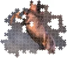 CLEMENTONI Puzzle Divoký rudý hřebec 500 dílků