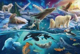SCHMIDT Puzzle Arktická zvířata 150 dílků