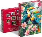CHERRY PAZZI Puzzle Tukaní ráj 1000 dílků