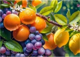 CHERRY PAZZI Puzzle Prosluněné ovoce 1000 dílků