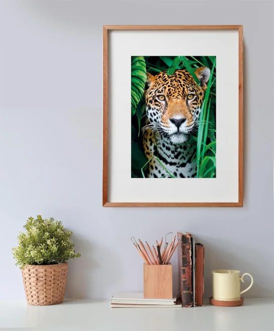 CLEMENTONI Puzzle Jaguár v džungli 500 dílků