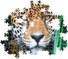 CLEMENTONI Puzzle Jaguár v džungli 500 dílků