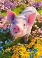 CHERRY PAZZI Puzzle Máš mě rád? 500 dílků
