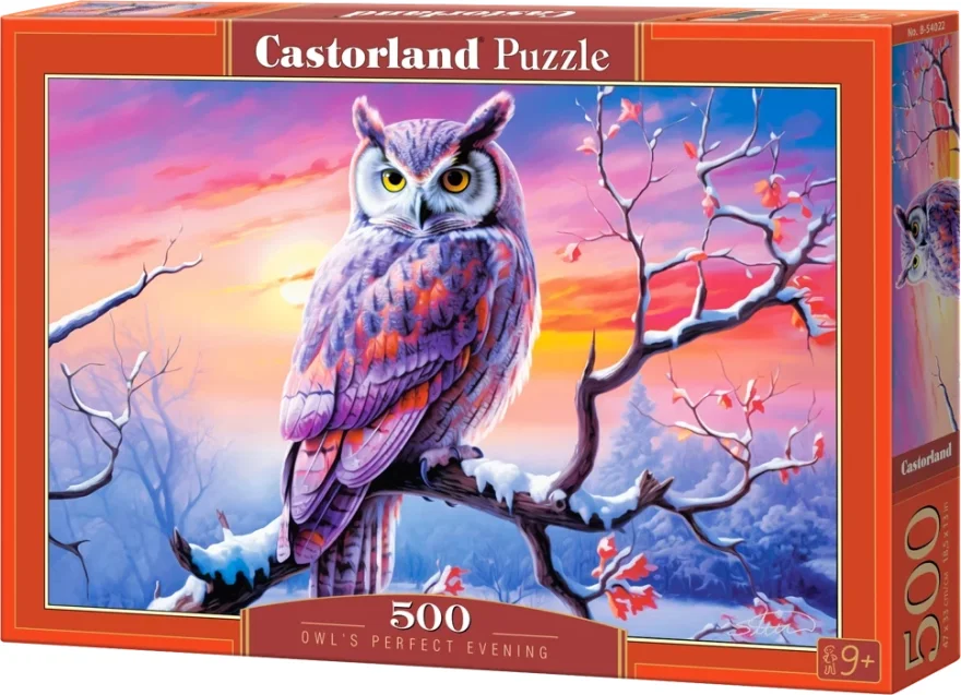 CASTORLAND Puzzle Dokonalý večer se sovou 500 dílků