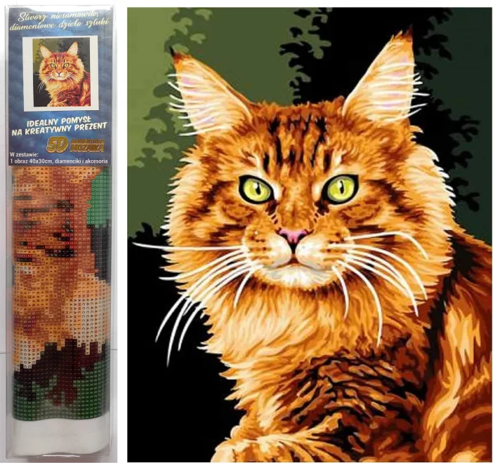 NORIMPEX Diamantové malování Zrzavá kočka 40x30cm