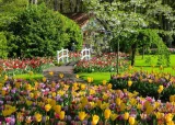RAVENSBURGER Puzzle Kouzelné zahrady: Zahrada Evropy Keukenhof, Nizozemsko 1000 dílků