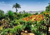 RAVENSBURGER Puzzle Kouzelné zahrady: Botanická zahrada, Madeira 1000 dílků