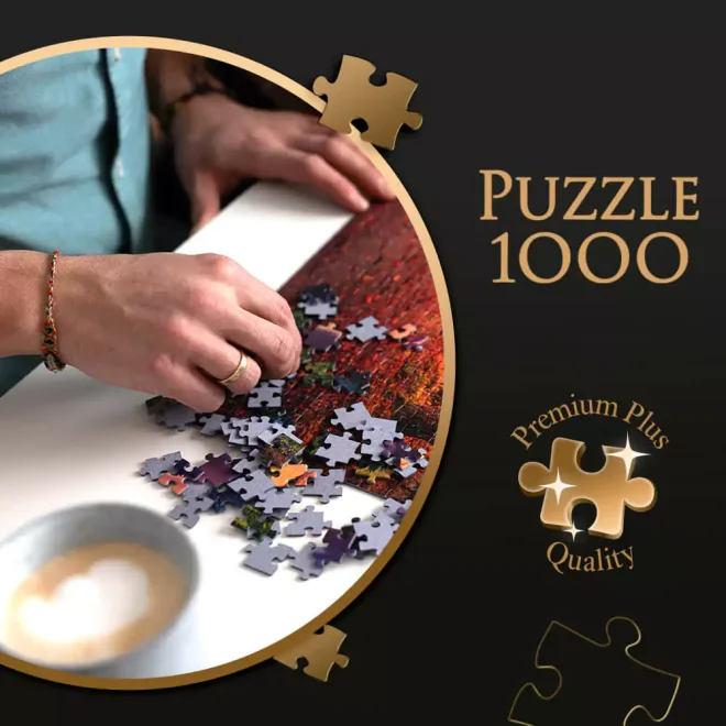 TREFL Puzzle Premium Plus Tea Time: Noční Paříž 1000 dílků