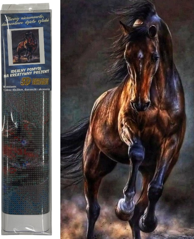 NORIMPEX Diamantové malování Divoký kůň 40x30cm