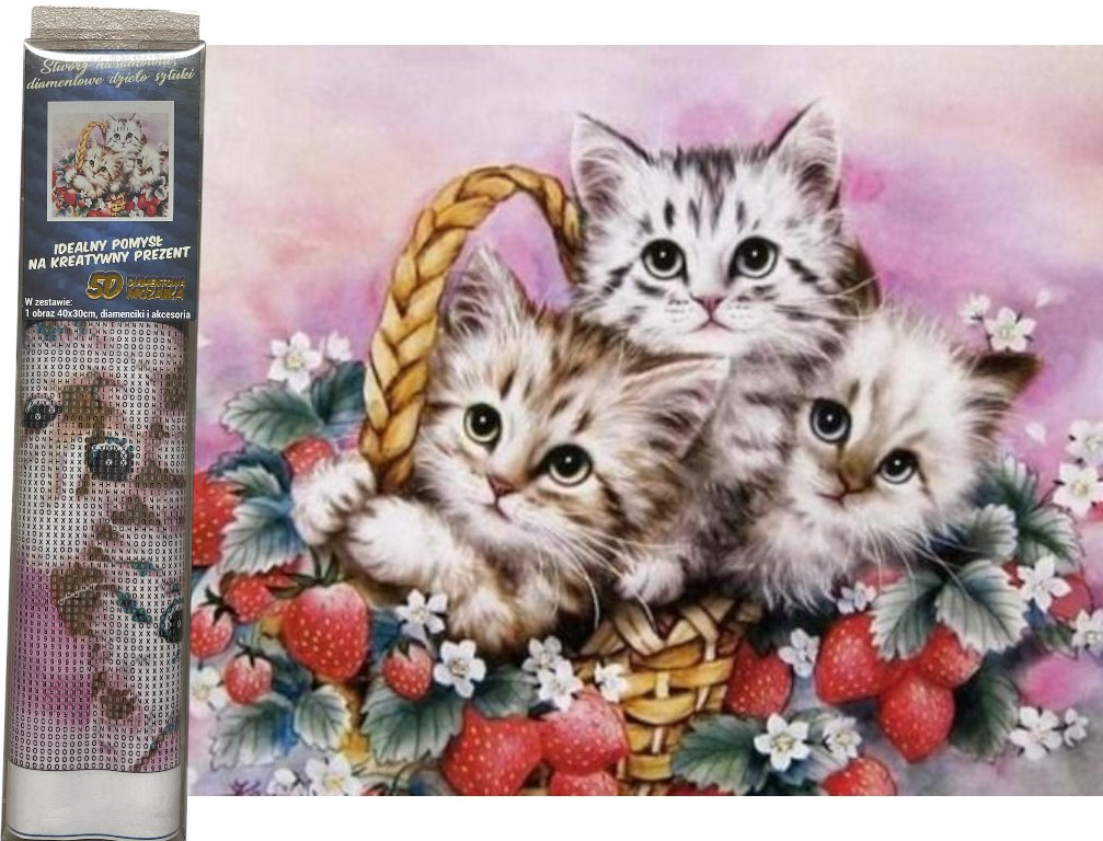 NORIMPEX Diamantové malování Koťata v jahodách 40x30cm