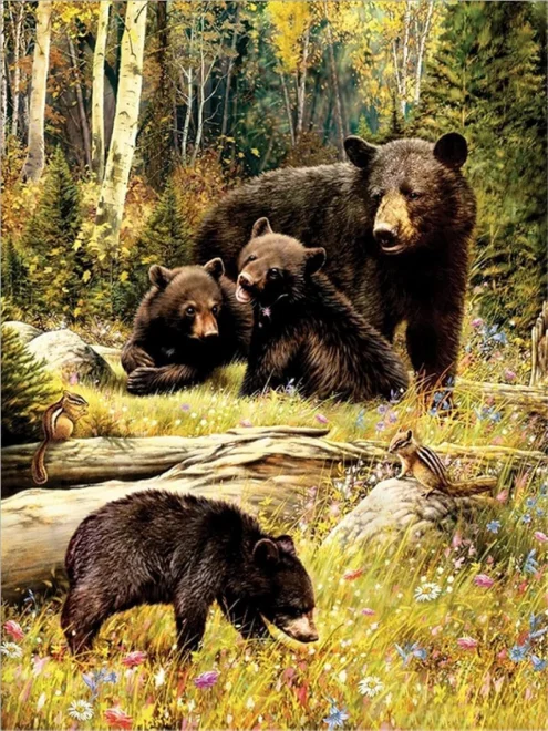 NORIMPEX Diamantové malování Medvědice s mláďaty 40x30cm