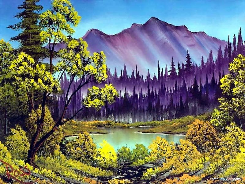 NORIMPEX Diamantové malování Nedotčená příroda 40x30cm