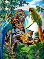 NORIMPEX Diamantové malování Klenoty deštného pralesa 40x30cm