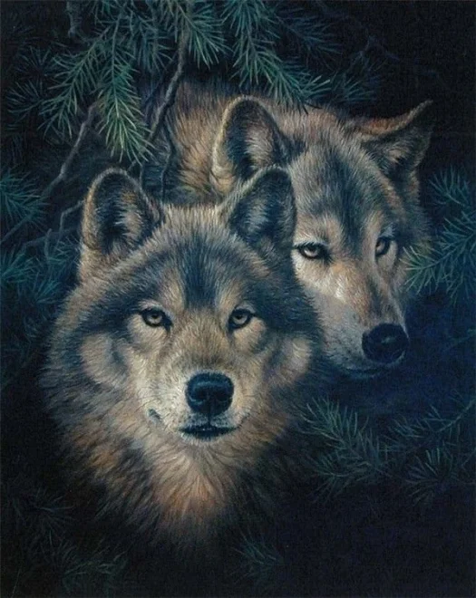 NORIMPEX Diamantové malování Strážci 40x30cm