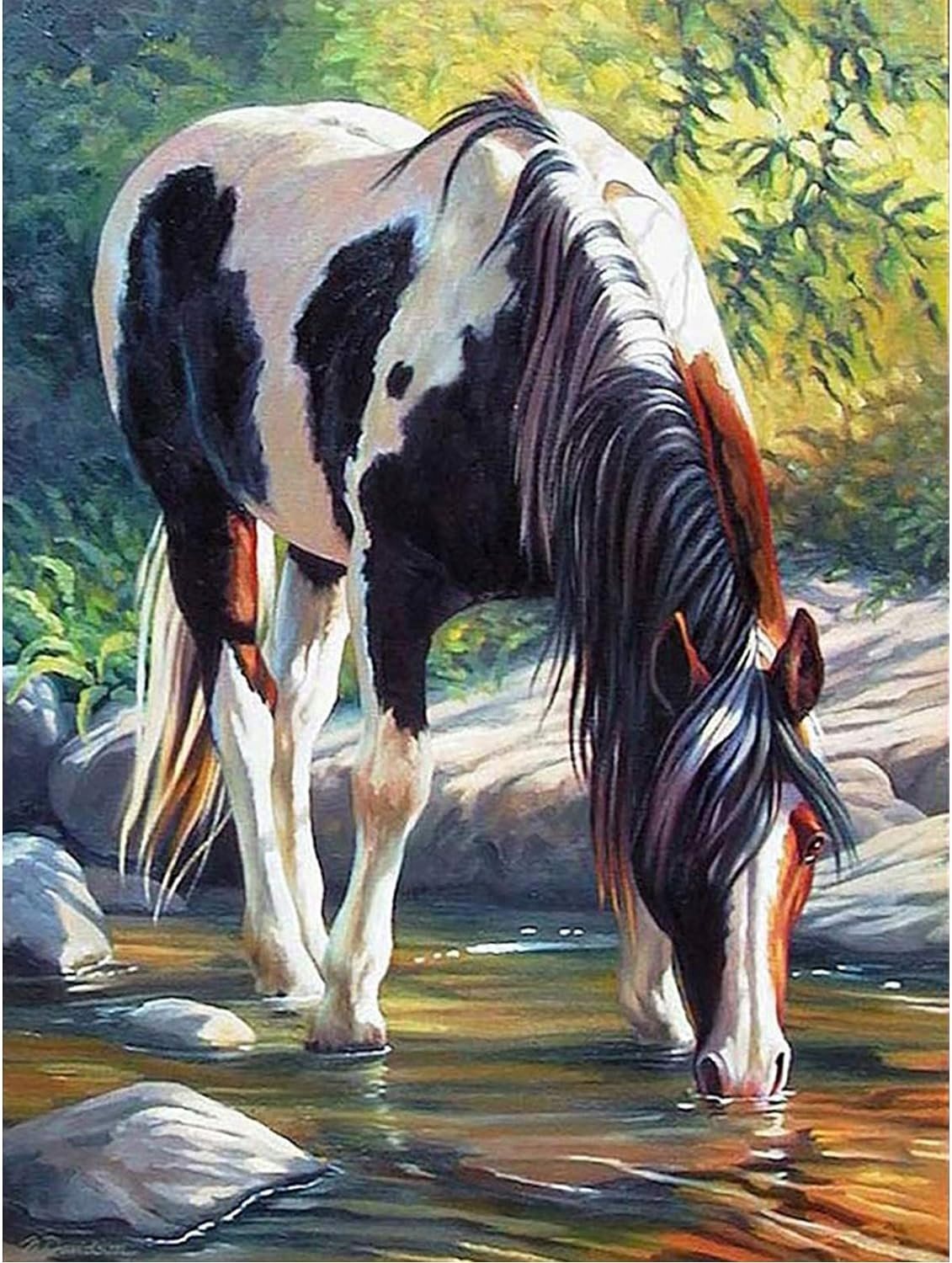 NORIMPEX Diamantové malování Strakatý kůň 40x30cm