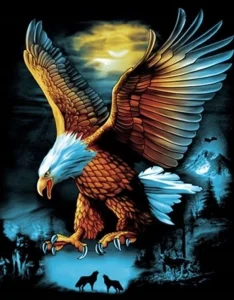 Diamantové malování Noční orel 40x30cm