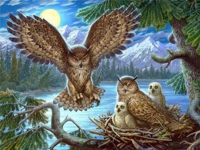 Diamantové malování Soví rodina u jezera 40x30cm