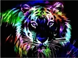 NORIMPEX Diamantové malování Neonový tygr 40x30cm