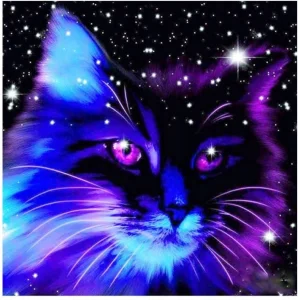 Diamantové malování Souhvězdí kočky 40x30cm
