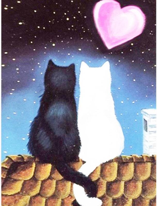 NORIMPEX Diamantové malování Černobílá láska 40x30cm