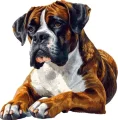 Diamantové malování Norimpex 40x30 cm Boxerská věrnost