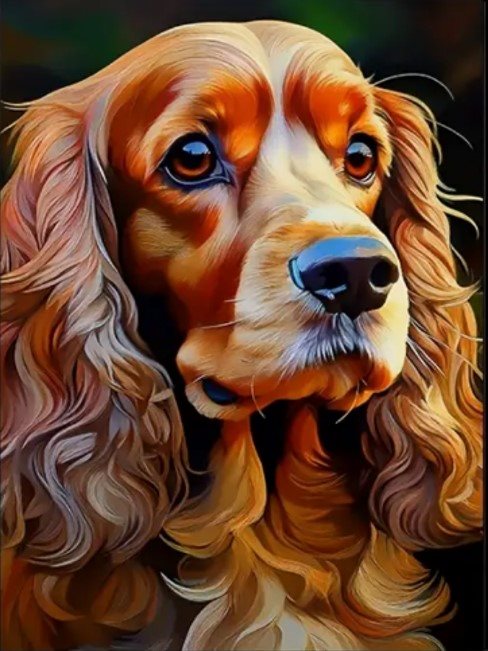 diamantové malování kokršpaněl 30 × 40 cm