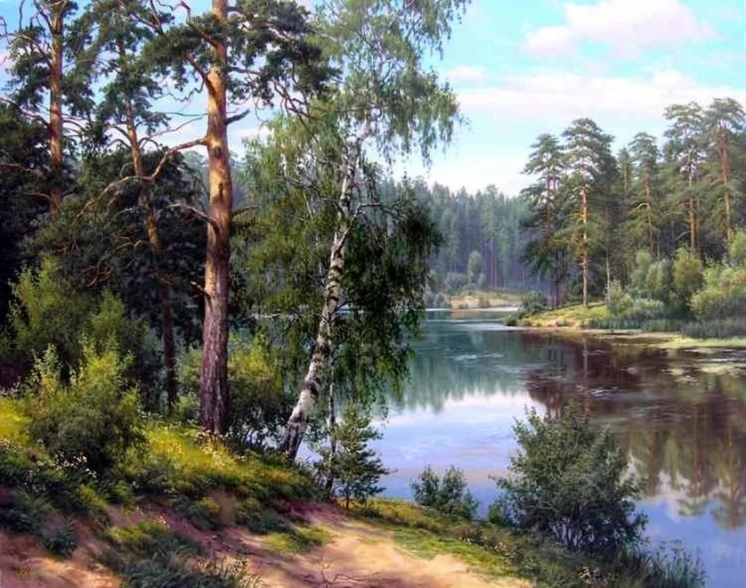 Diamantové malování Norimpex 40x30 cm Lesní břízy u klidného jezera