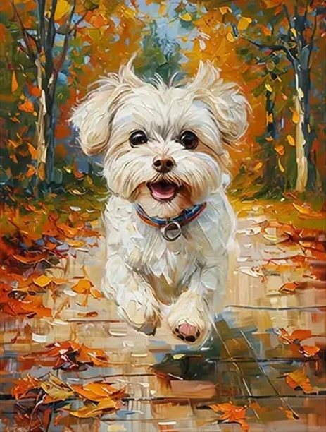 diamantové malování maltézský pes 30 × 40 cm