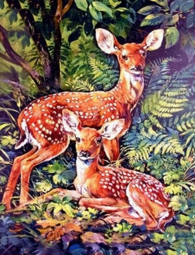 diamantové malování srnky v lese 30 × 40 cm
