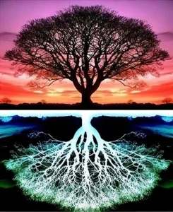 Diamantové malování Norimpex 40x30 cm Strom s odrazem