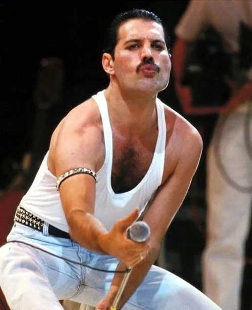 Diamantové malování Norimpex 40x30 cm Freddie Mercury na koncertu